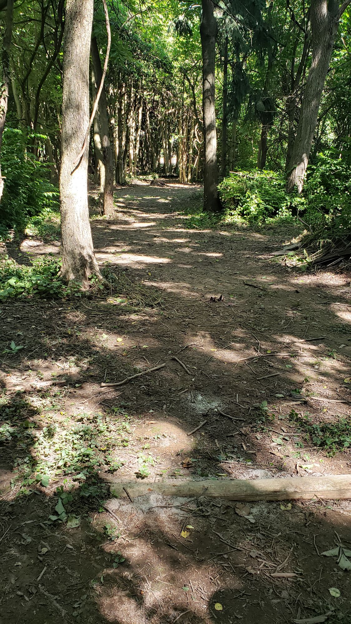 Hole 5 fairway