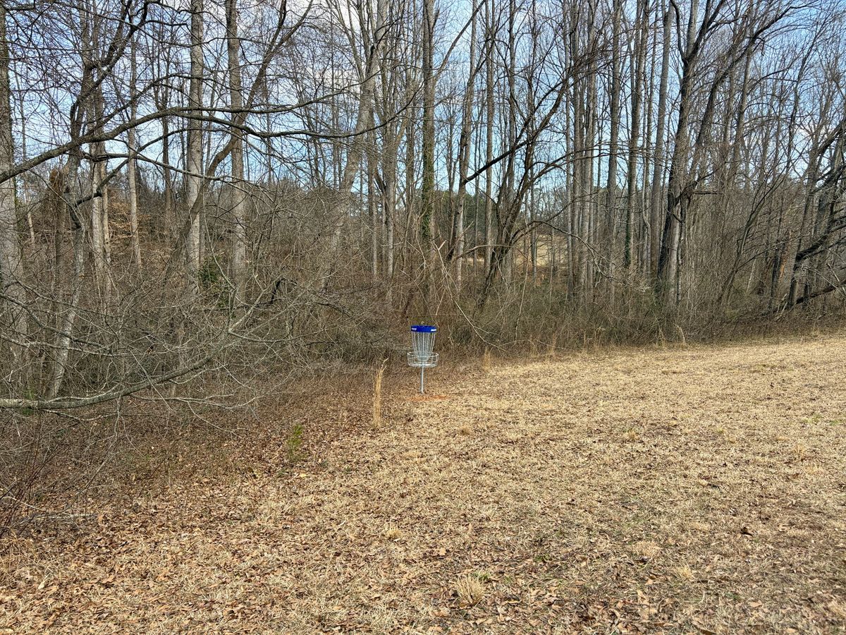 Hole 15 short basket