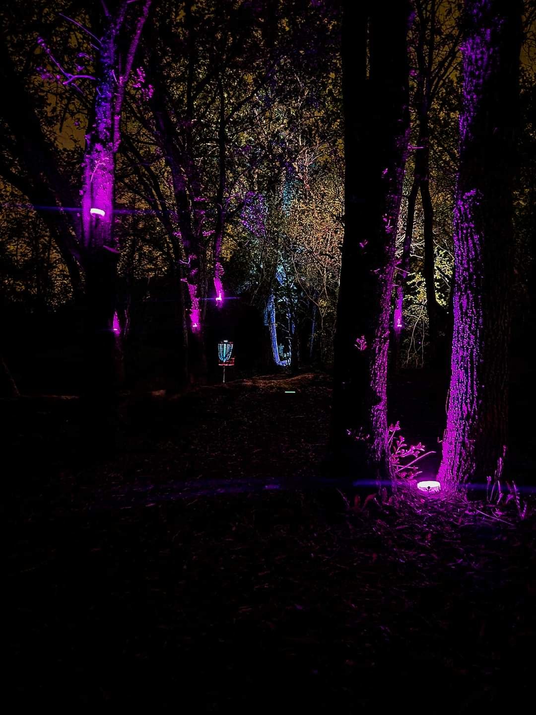 Hole 3 lit up for Derelict League After Dark