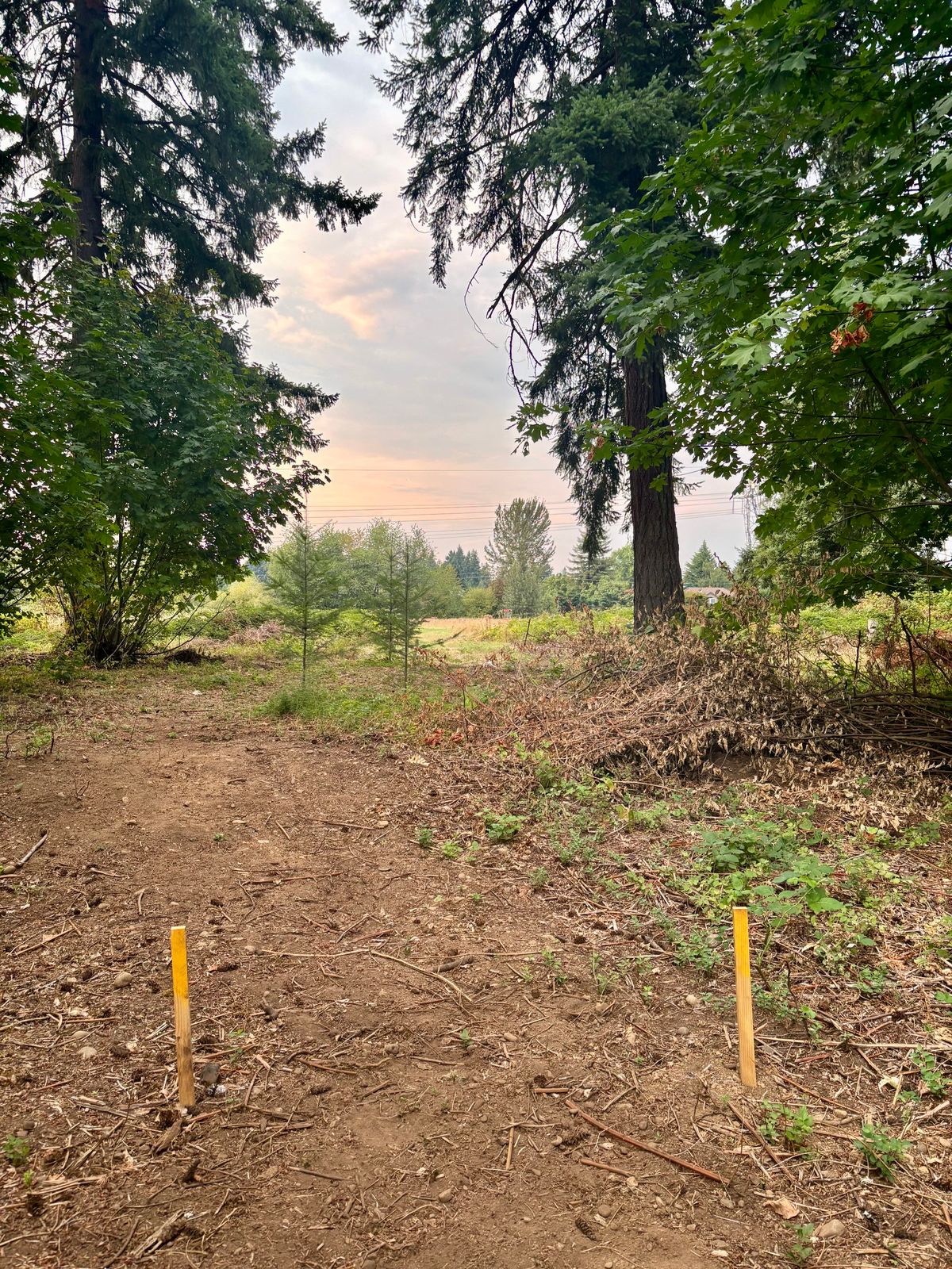Hole 3 From Tee