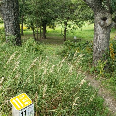 This is a short hole but you will need technical skills to hit the basket between the trees!