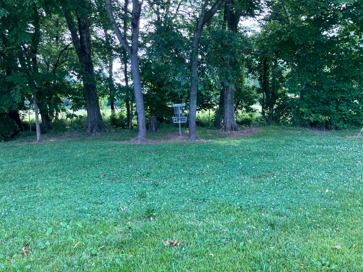 Hole 16 looking at guardians.