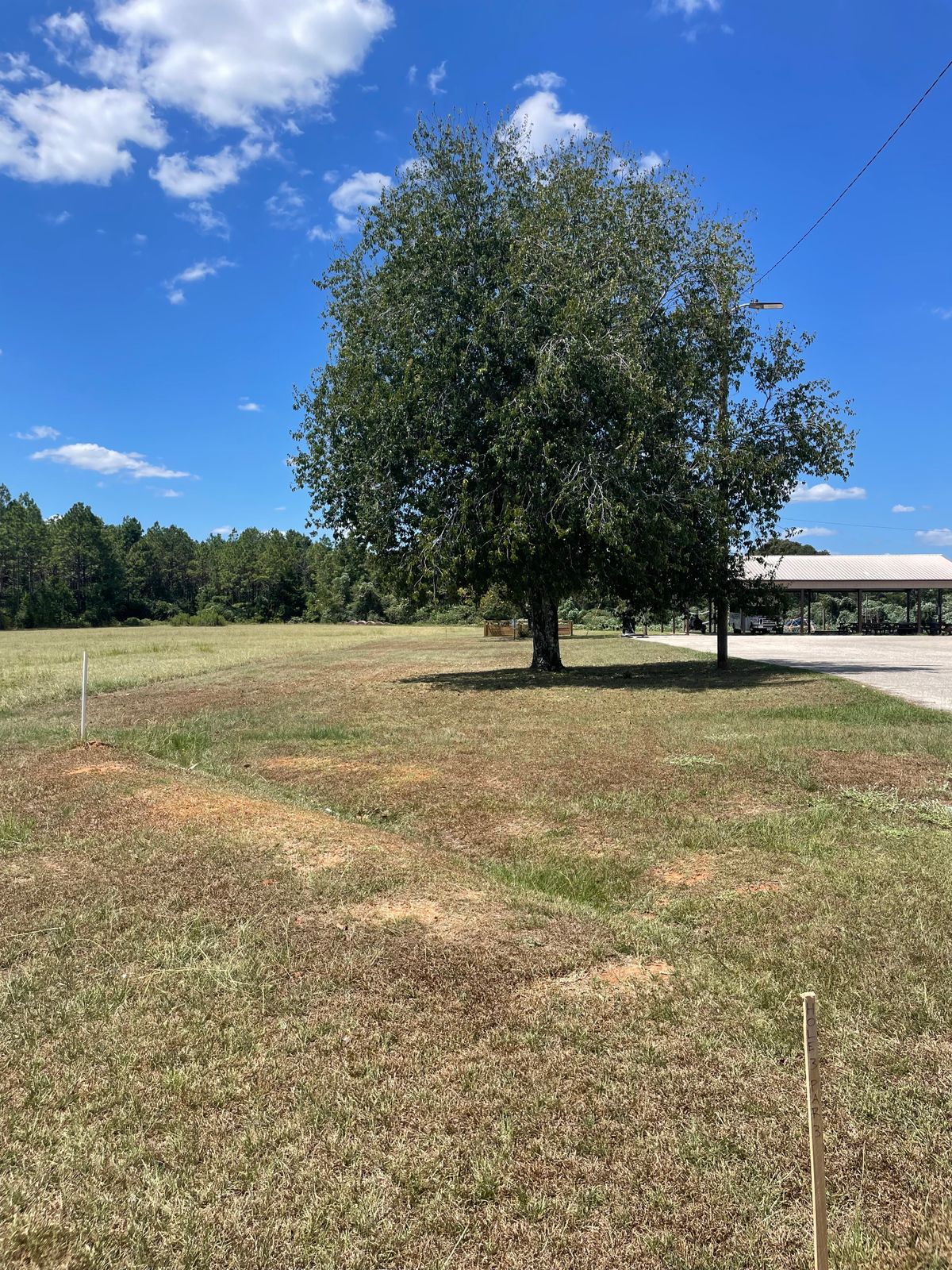 Hole 3. Parking lot and tall grass OB