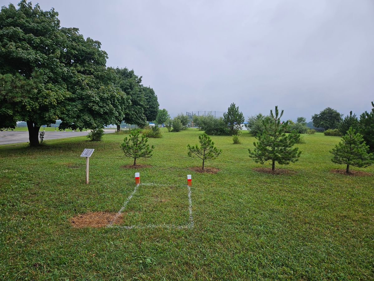 Hole 1