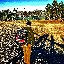 User avatar image