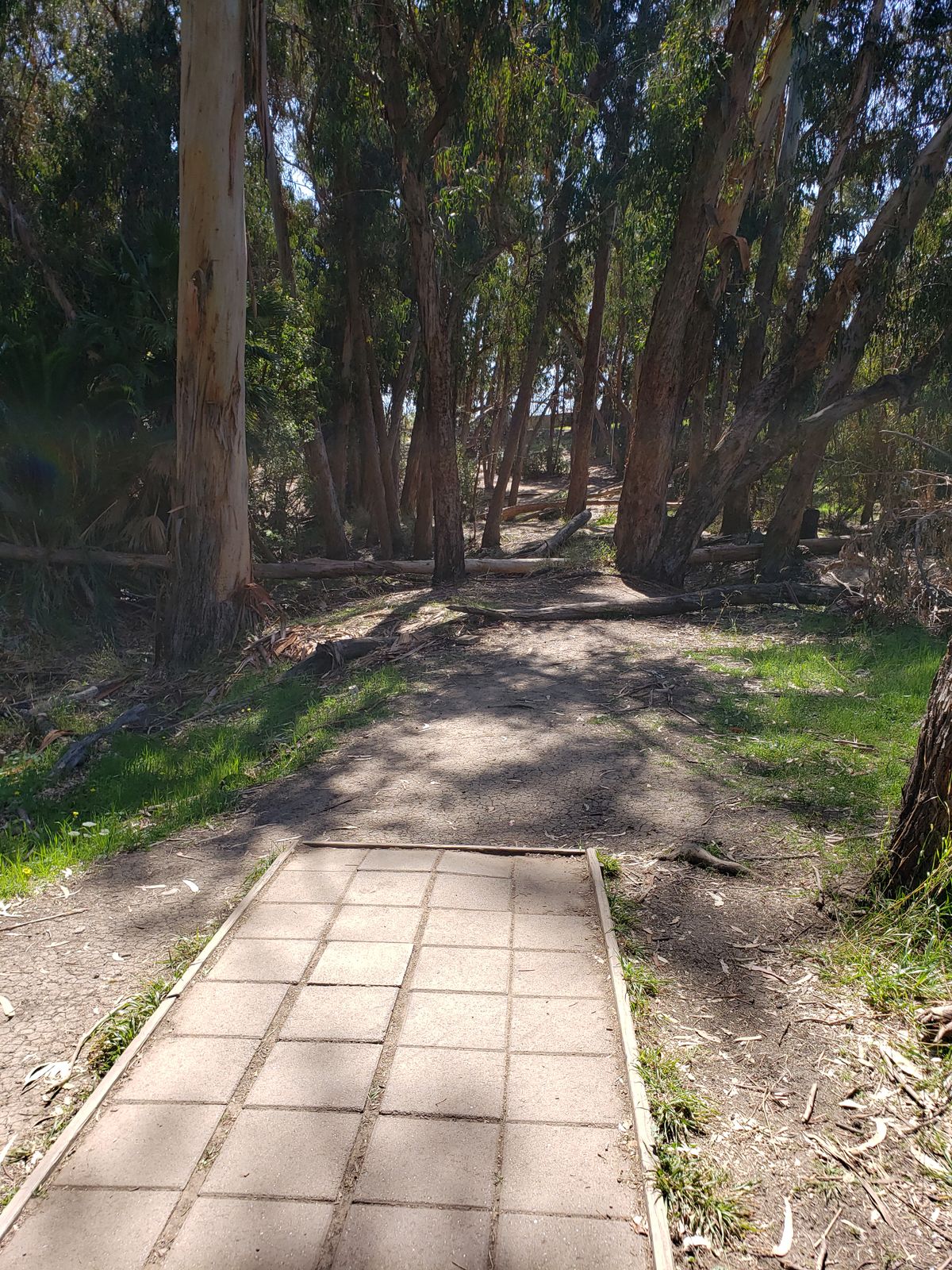 Hole #8 358 uphill