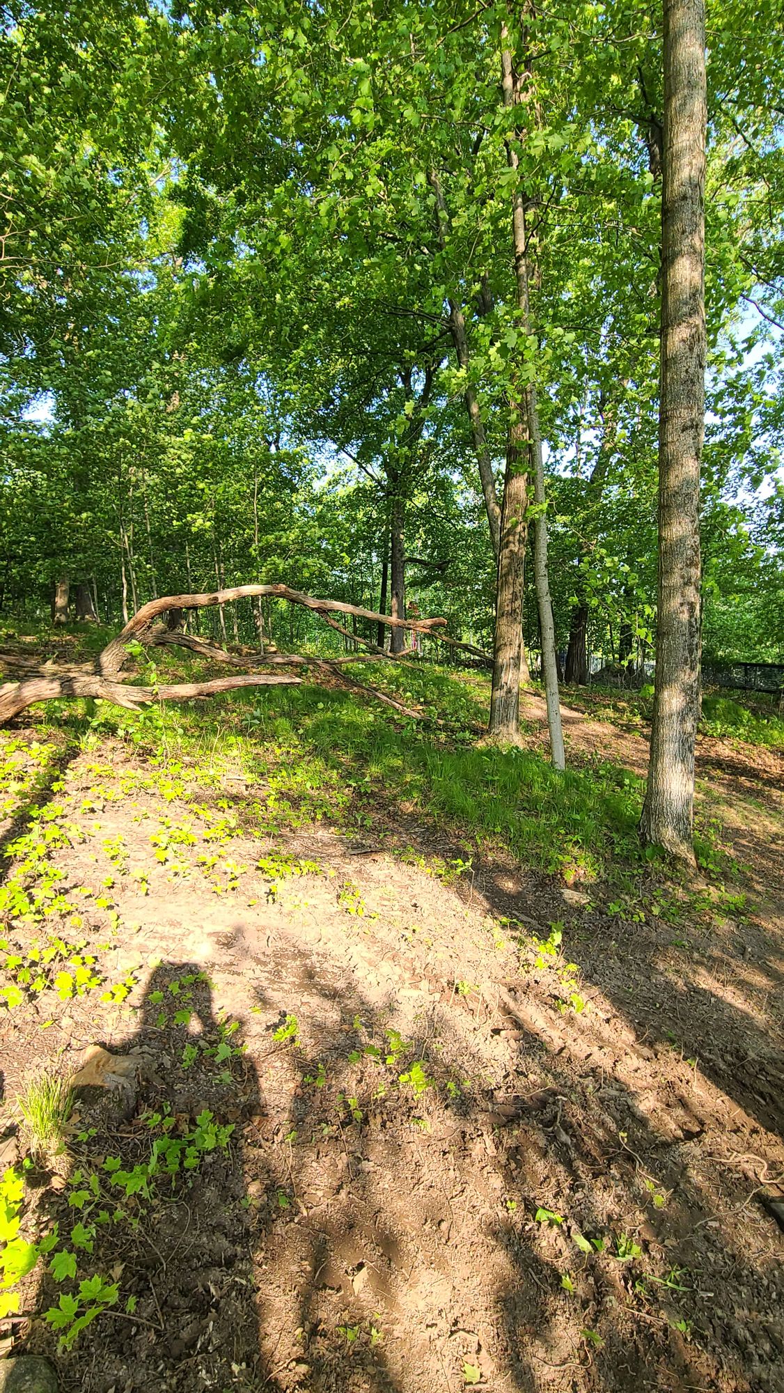 Hole 3 from tee