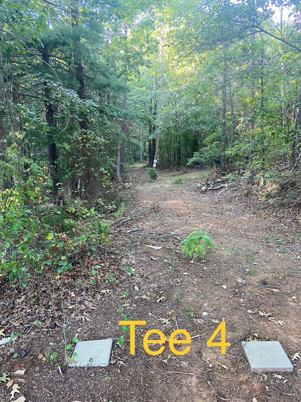 Straight shot, baskets sets slight right of tree line