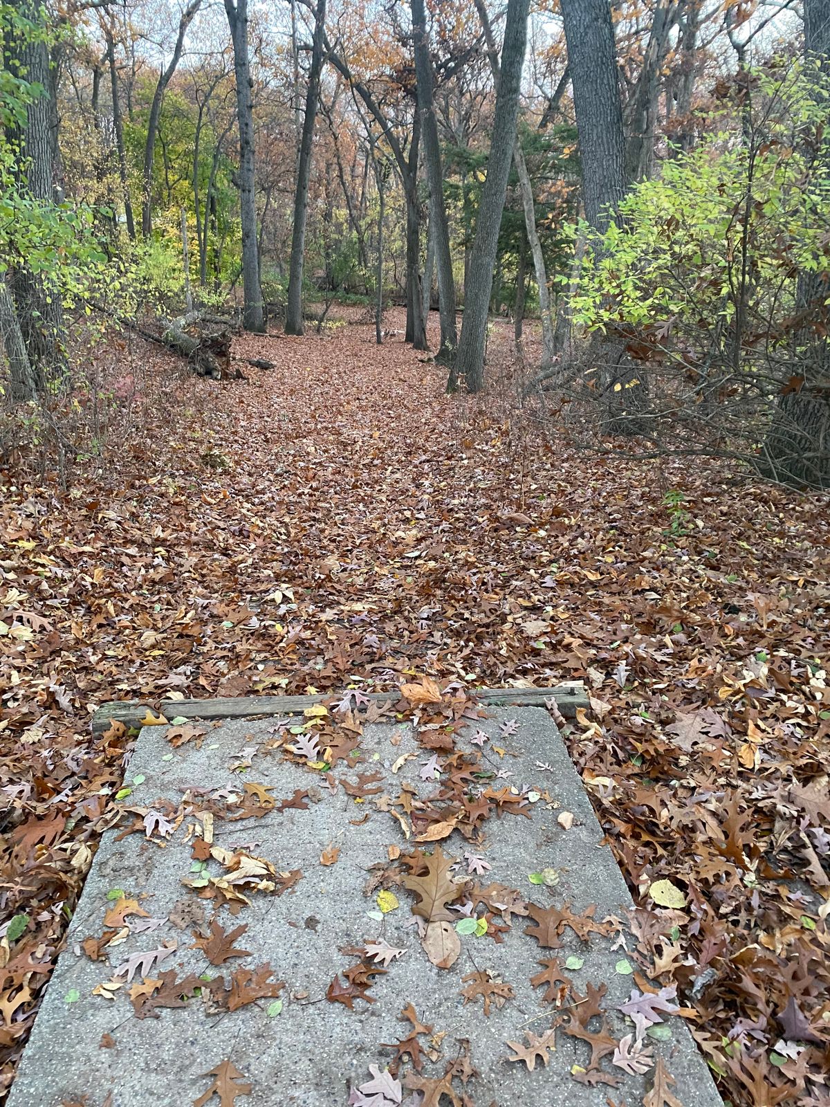 Hole 15 Tee Pad