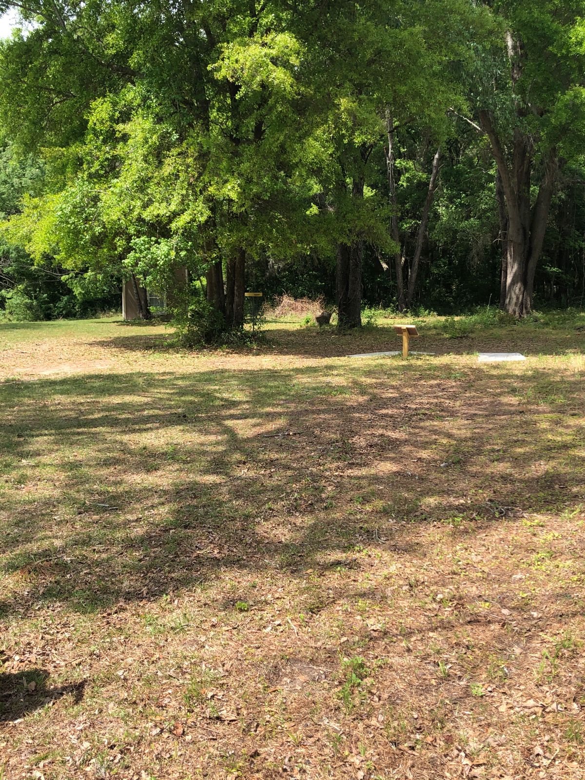 Hole 11, approach