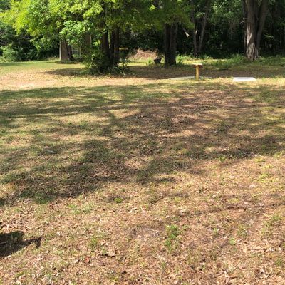 Hole 11, approach
