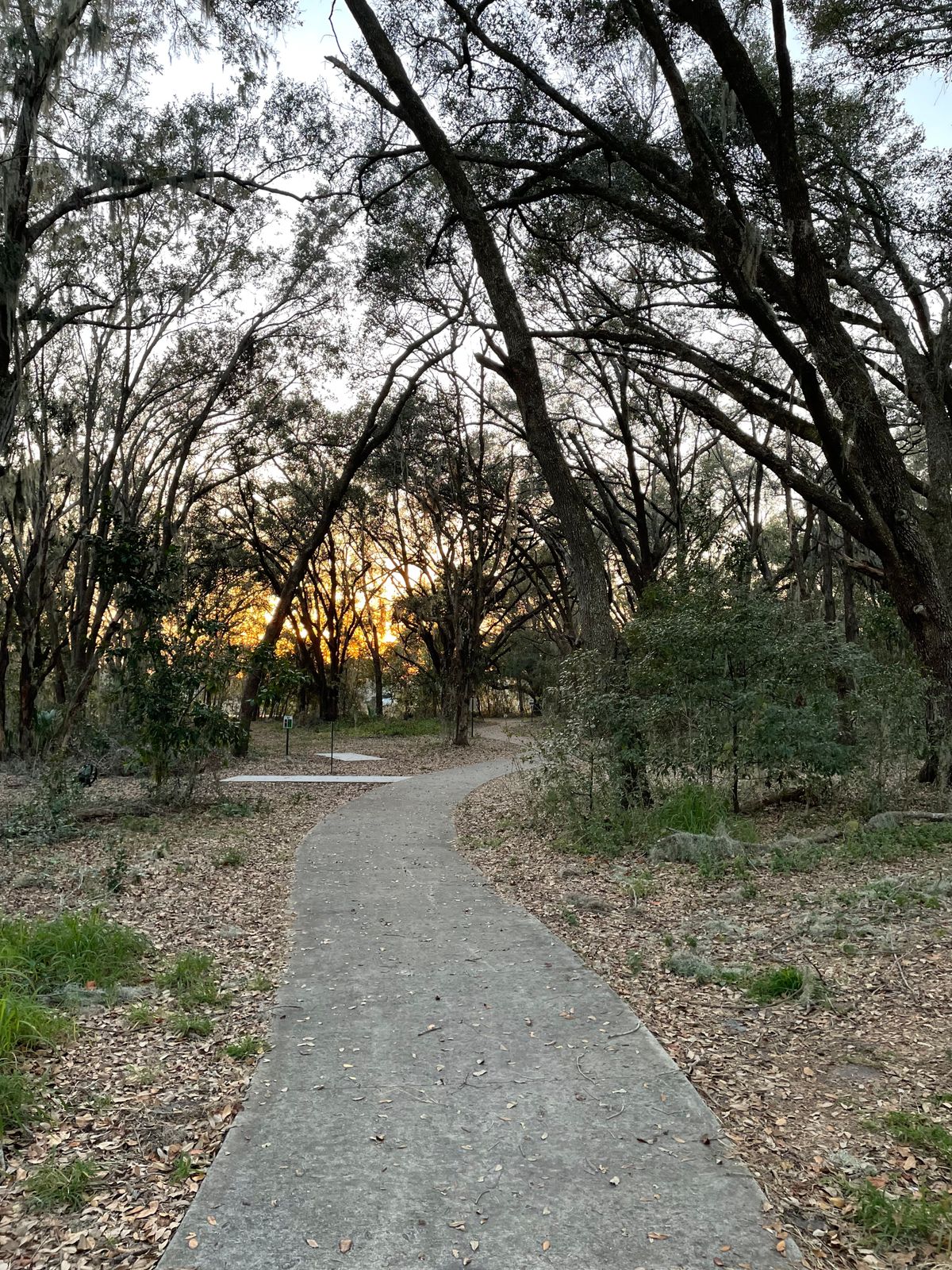 Path through course