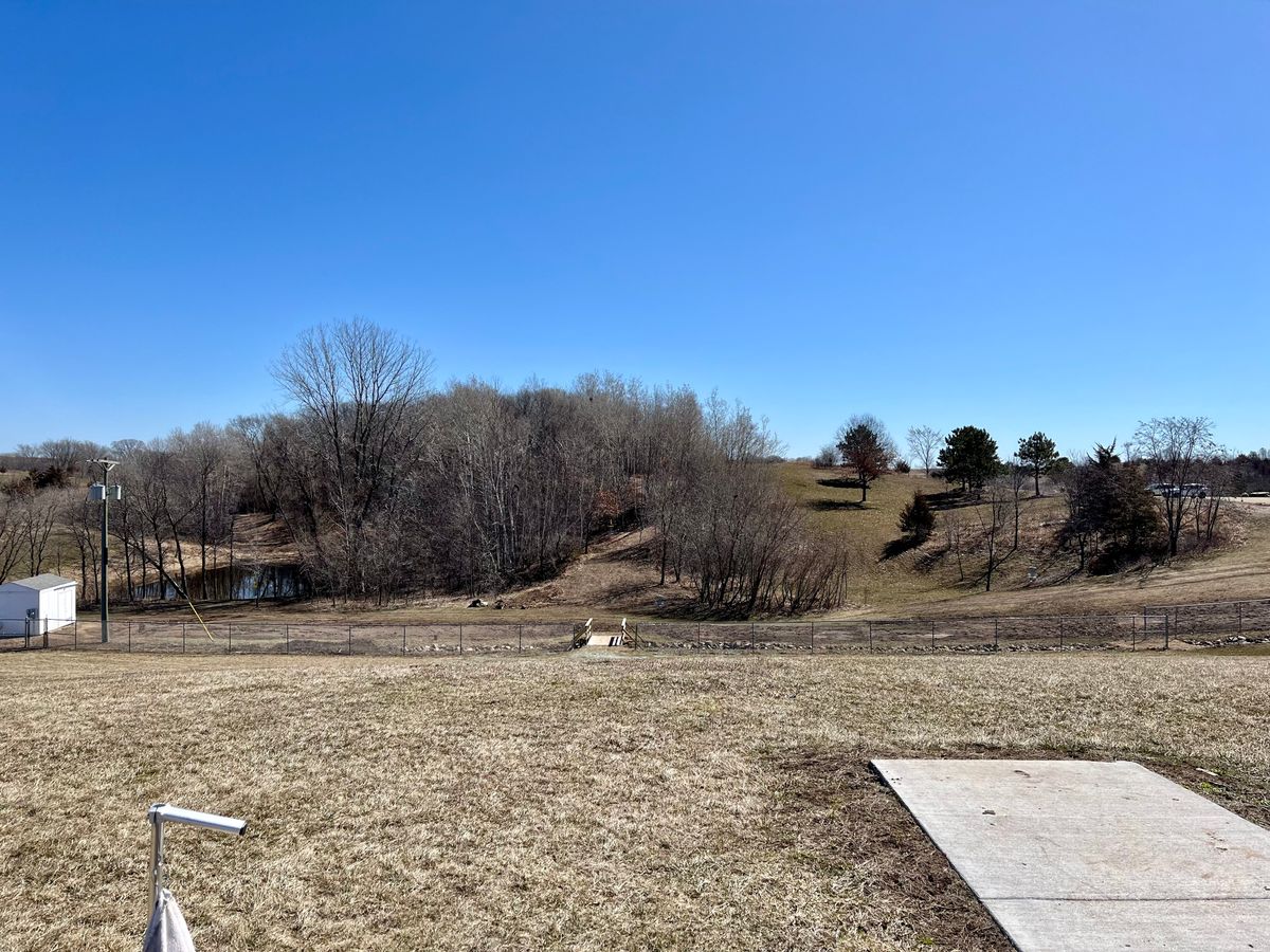 Tee 11 - Evergreen Layout