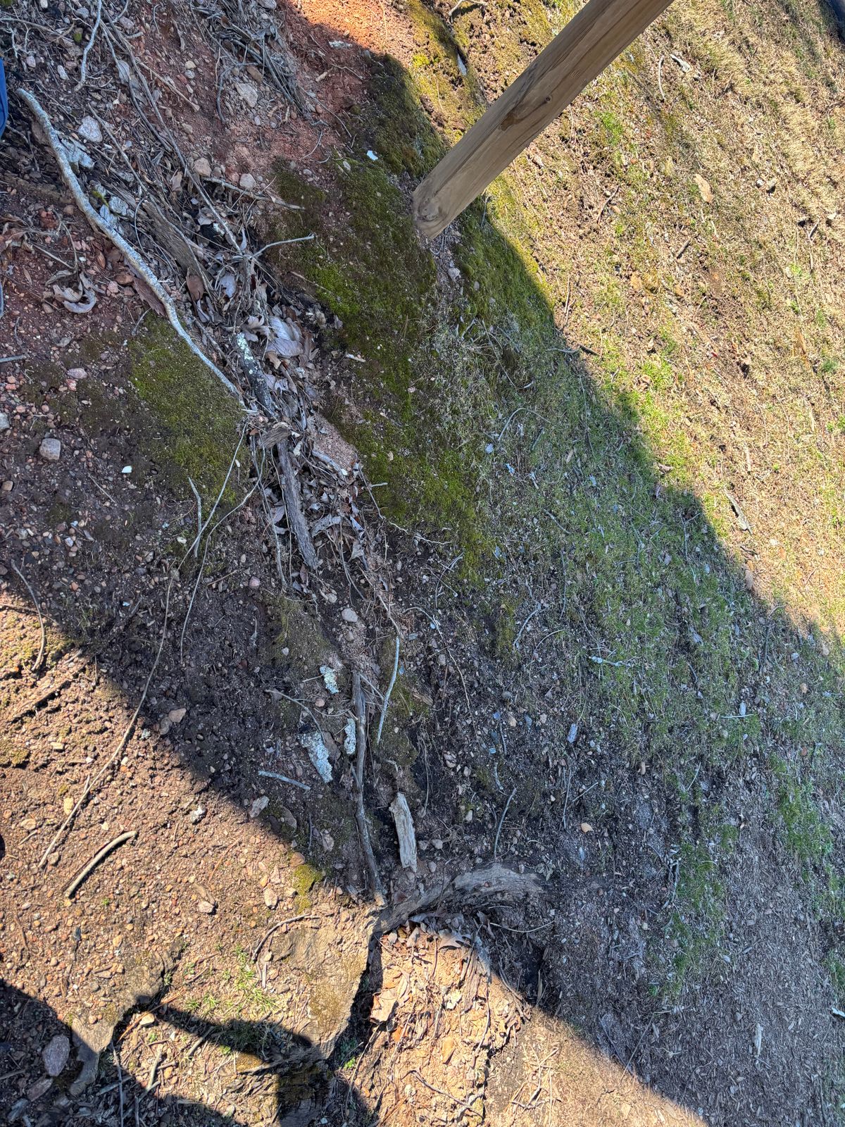 There’s no tee pad at three and there are a lot of roots in that area