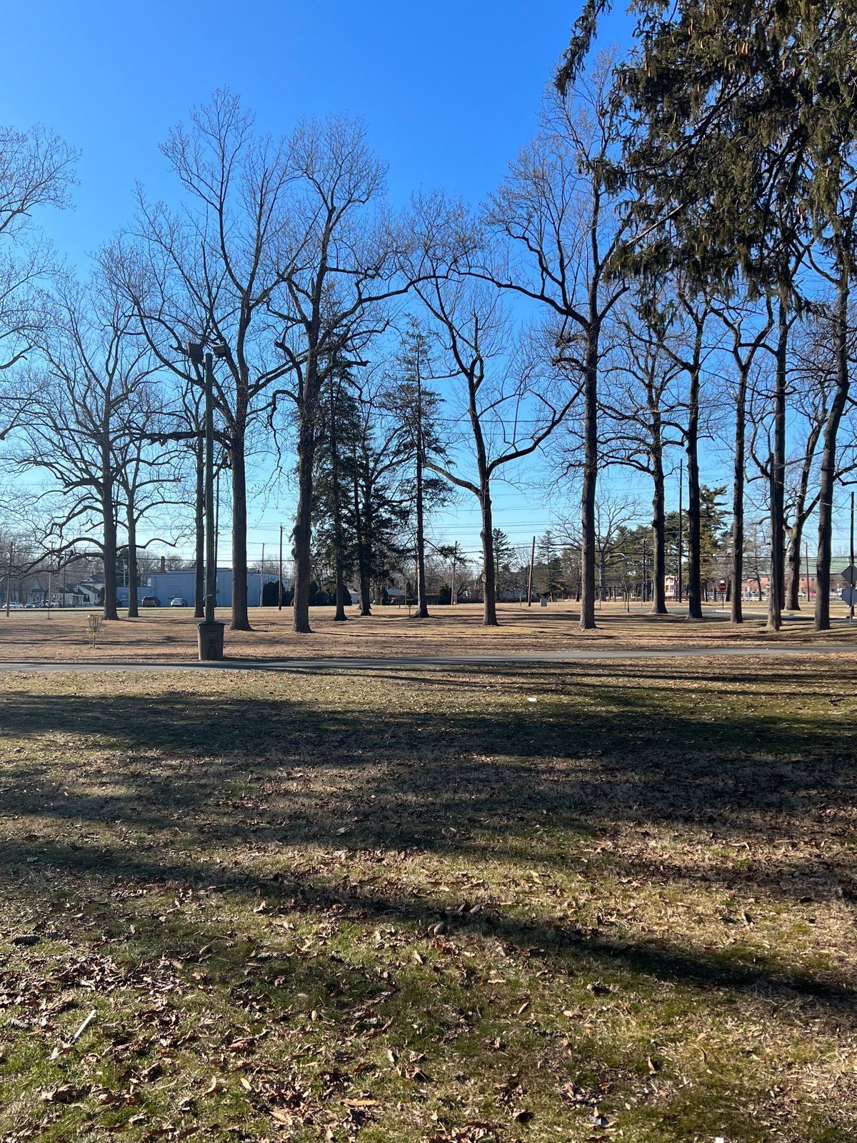 Hole 11 Par 3 266ft