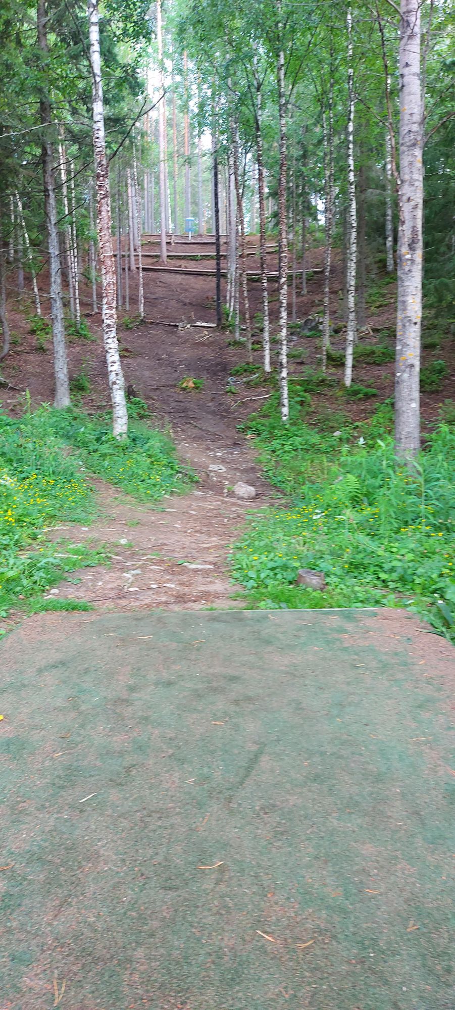 Tarinalaakso Old Course hole 2 tee