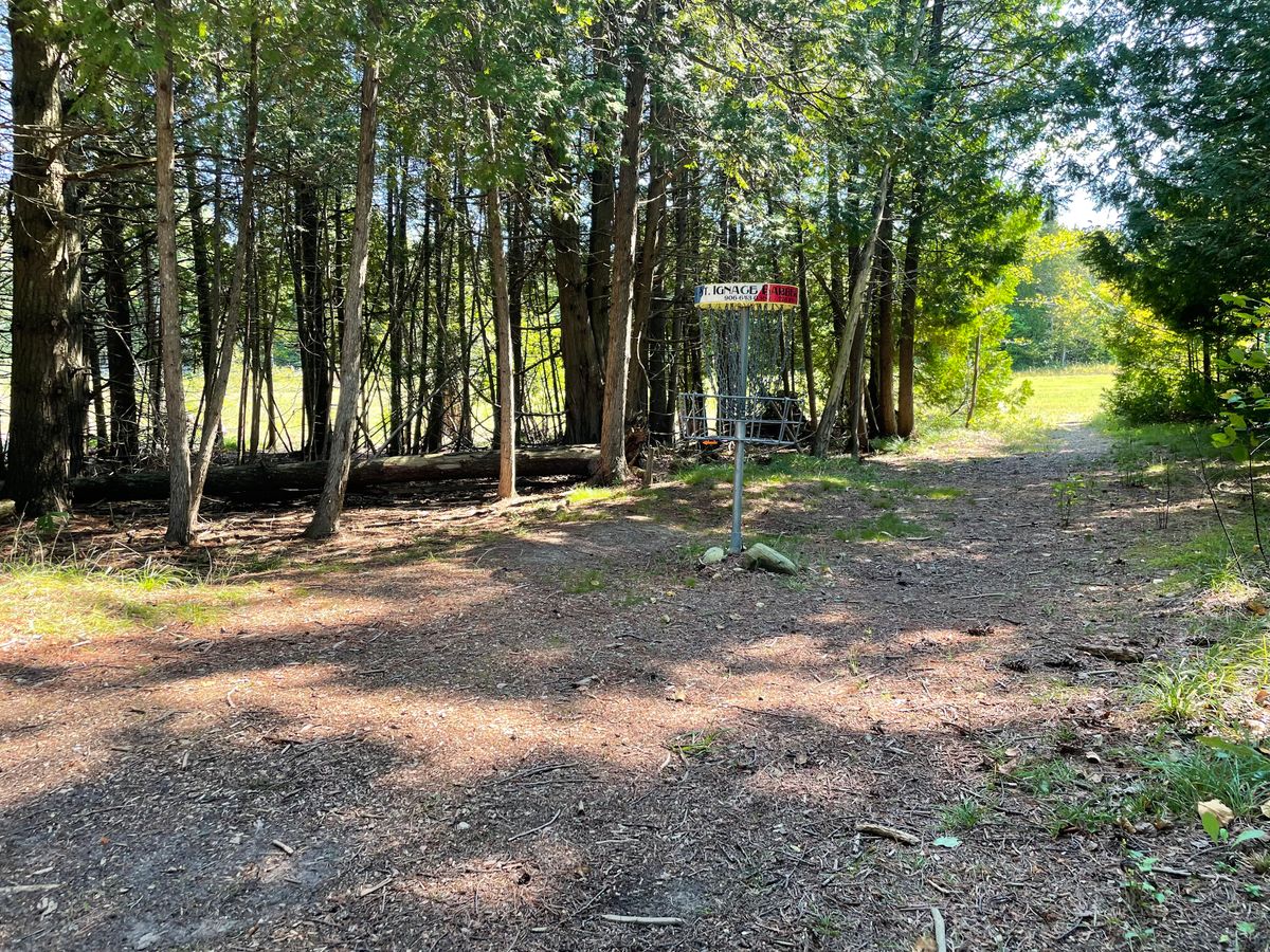 Arrow on basket points the way to the next tee
