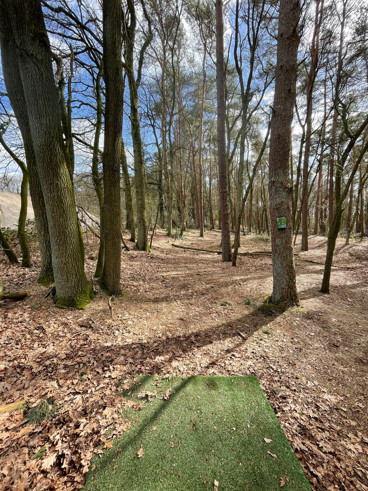 Hole 3