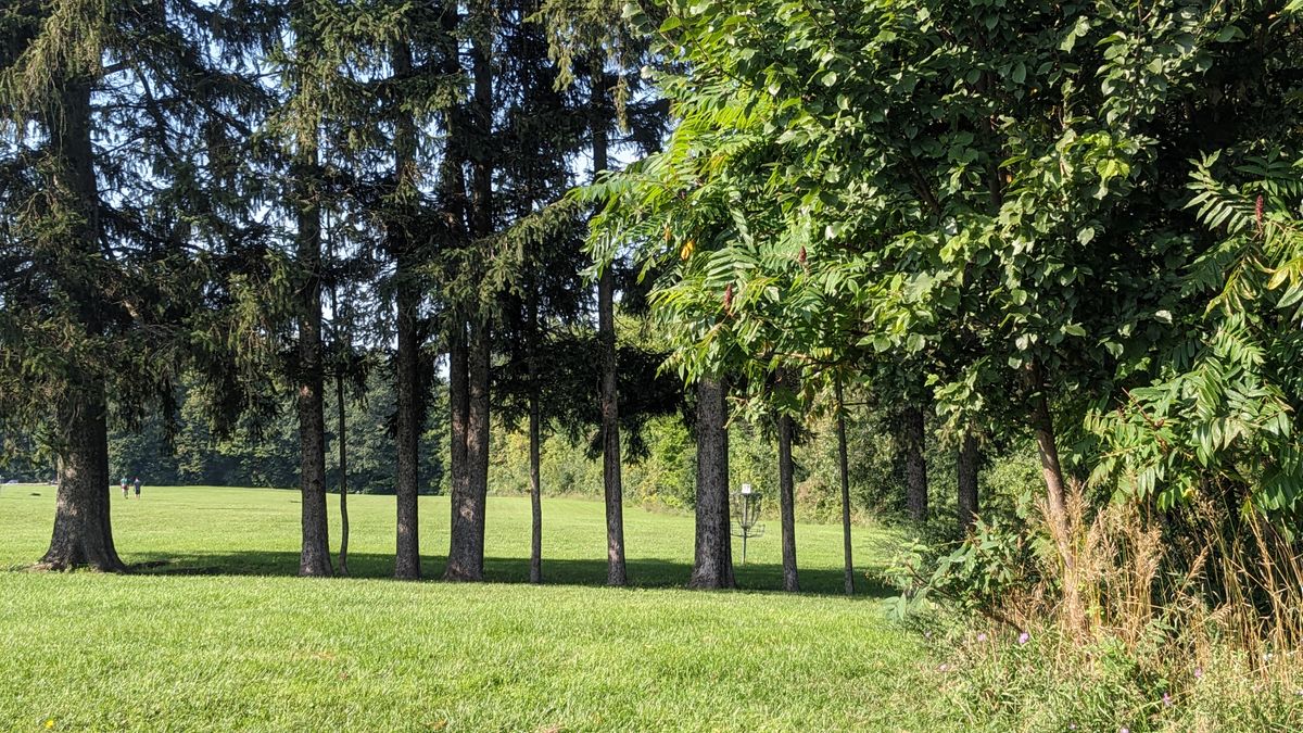 Up over the hill then this line of trees
