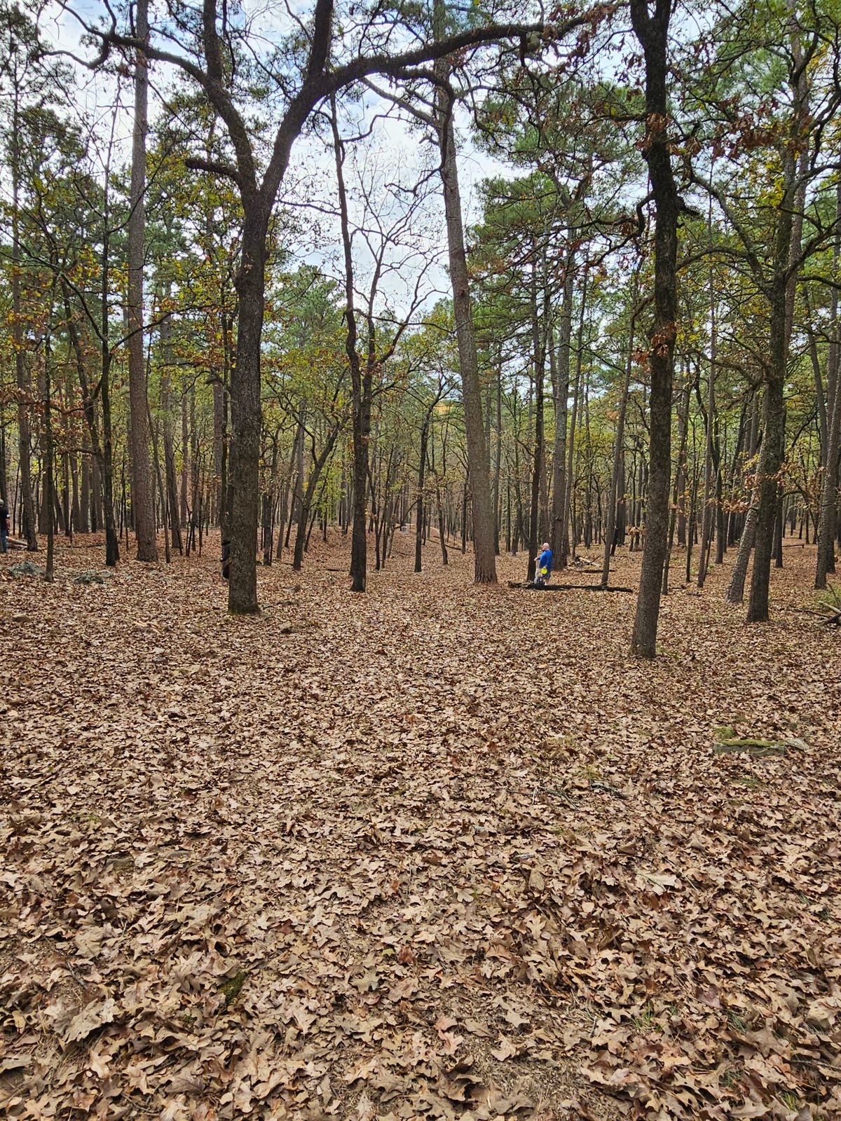 Hole 4