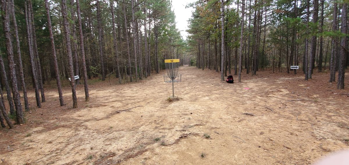 12th hole, short but very tight