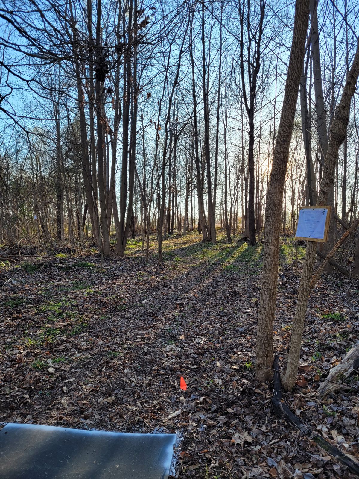 Hole 14