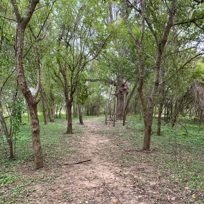 Hole 4 fairway (facing the basket)