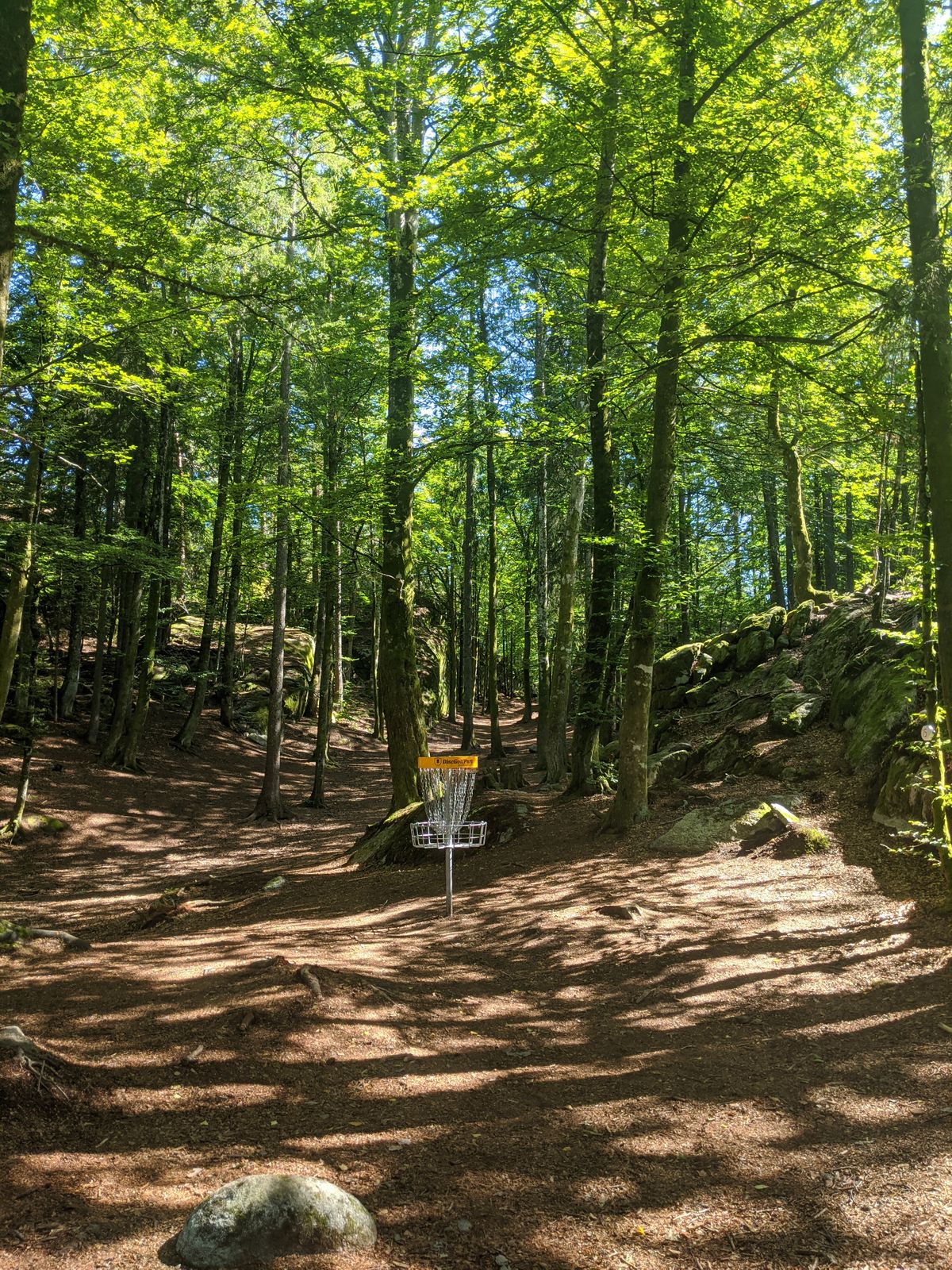 Veldig fin skog, bra teepads og gøy bane.