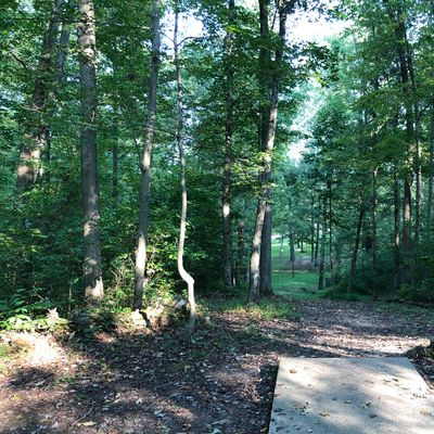Hole 5