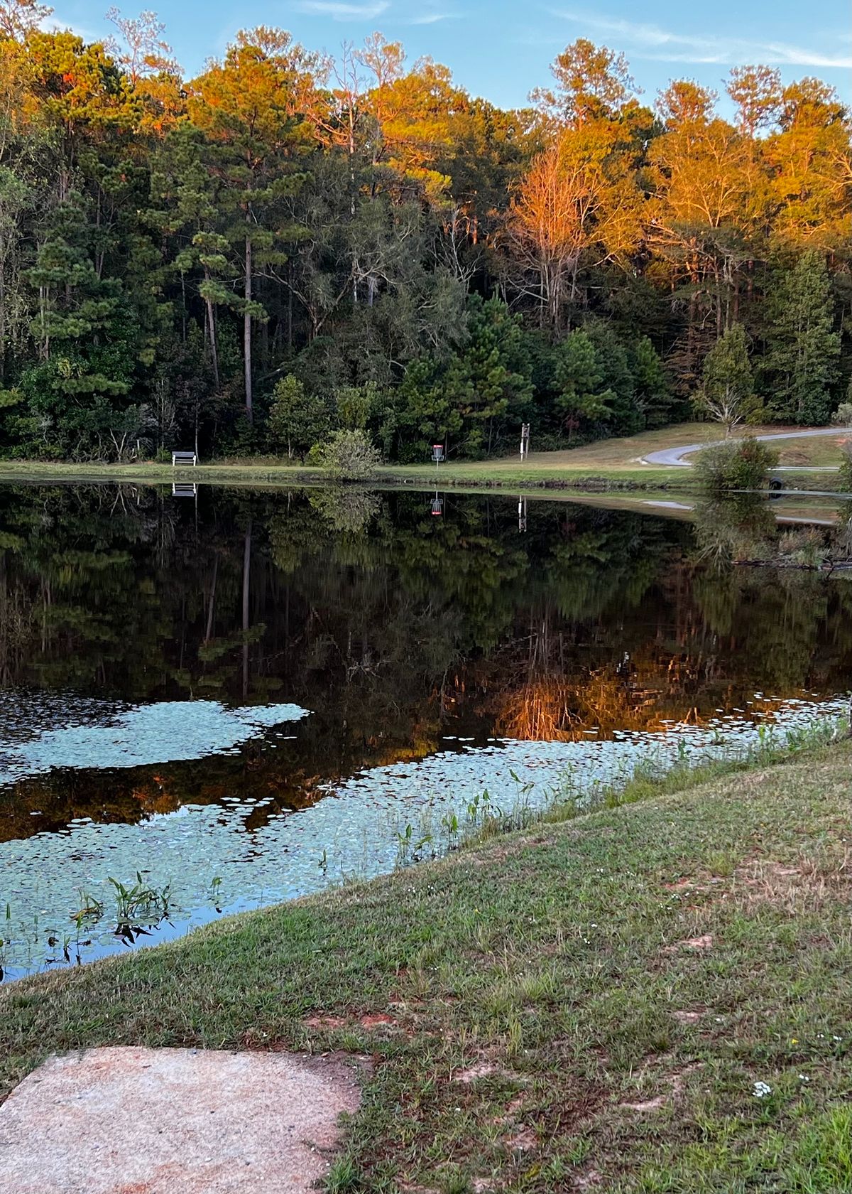Hole 15 Blue layout.  275’ to clear the water. 298’ to the basket. What are you throwing? :)