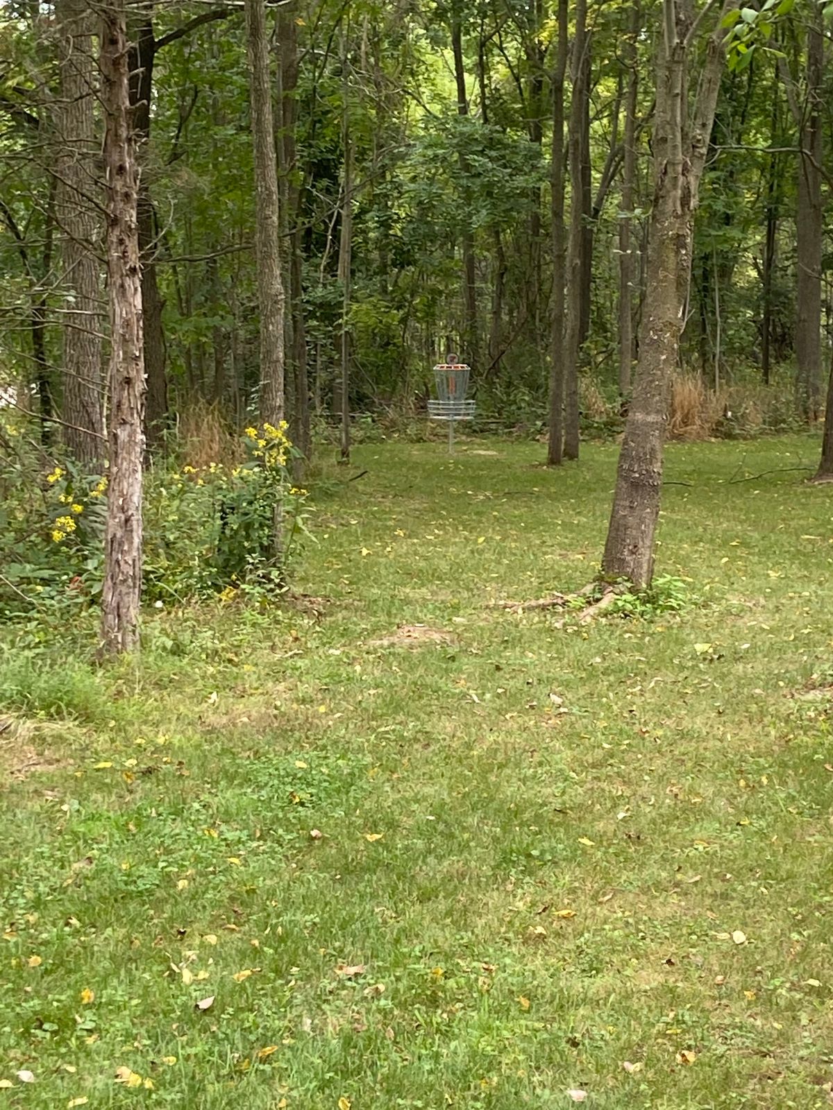 Challenging hole 7