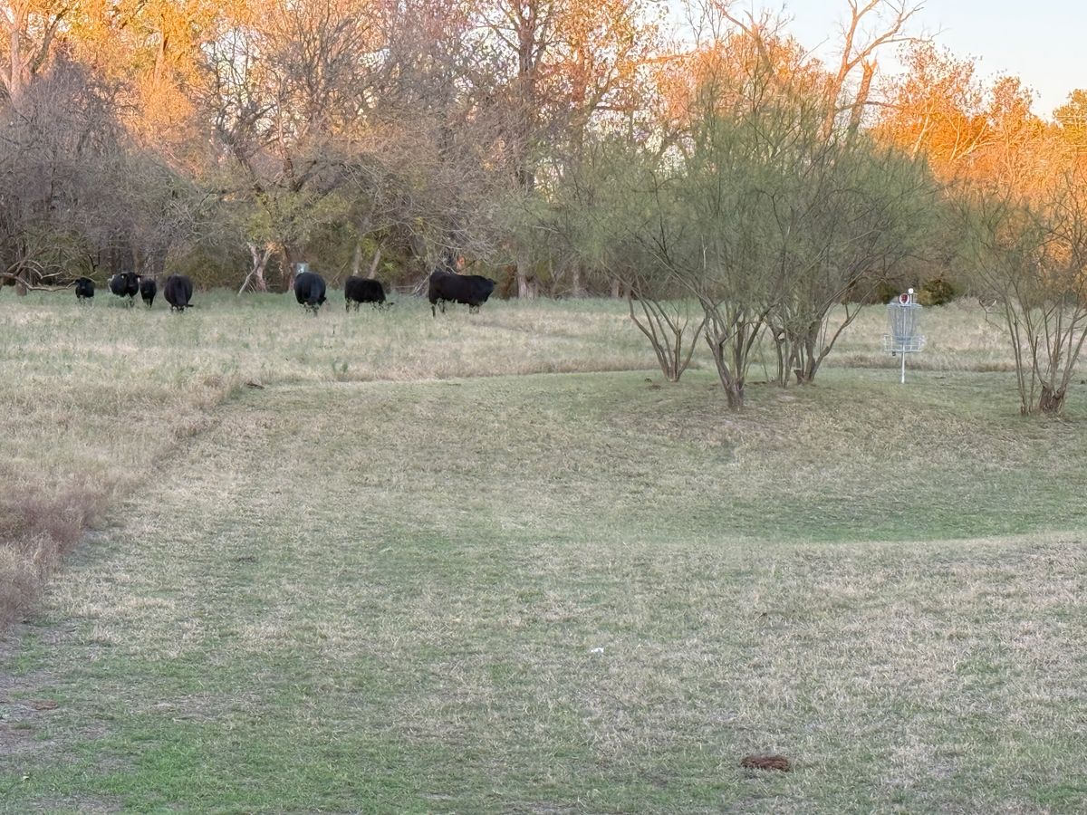 Cows in c2 (they moved away). Lol
