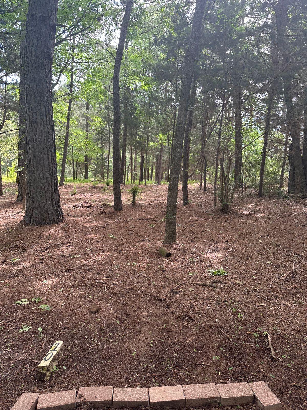 Hole 10 tee box