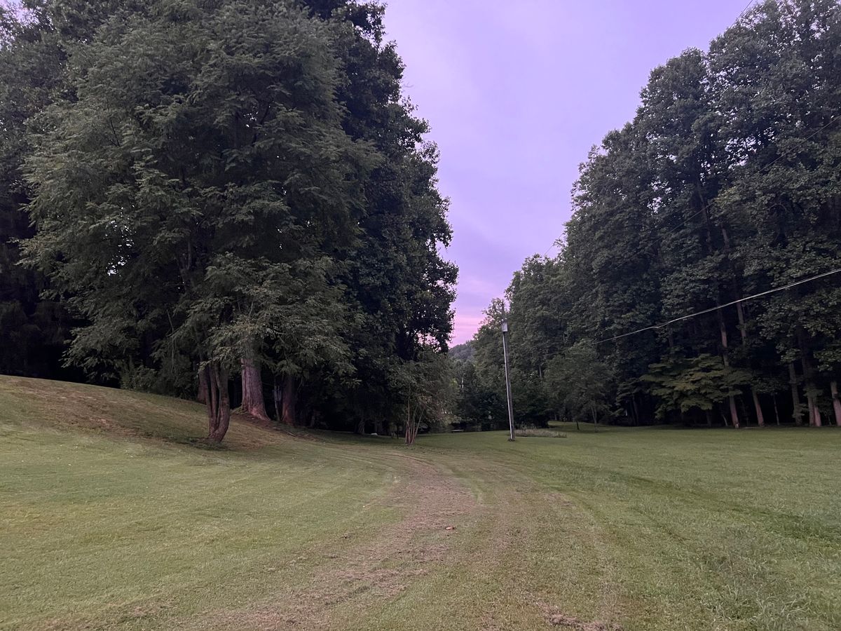 Hole 6 fairway.