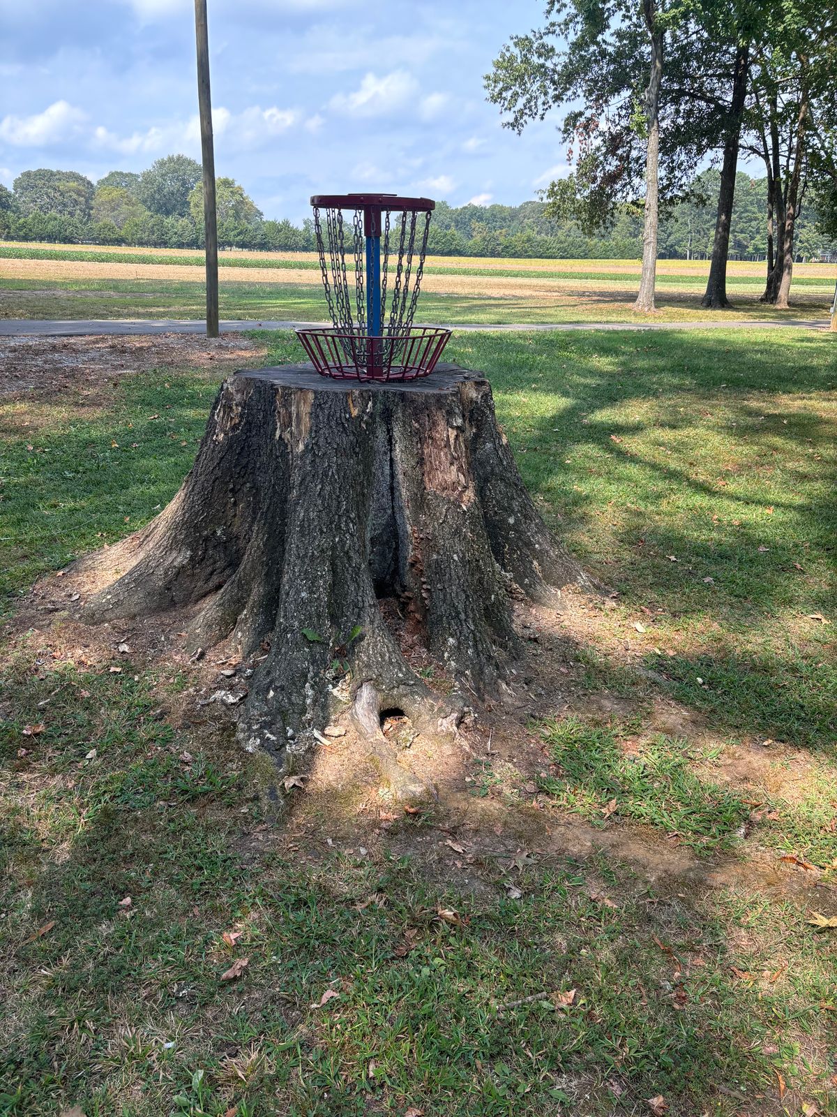 Hole 2 basket