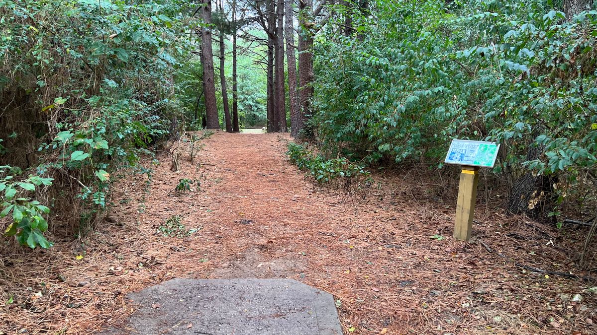 Hole 8