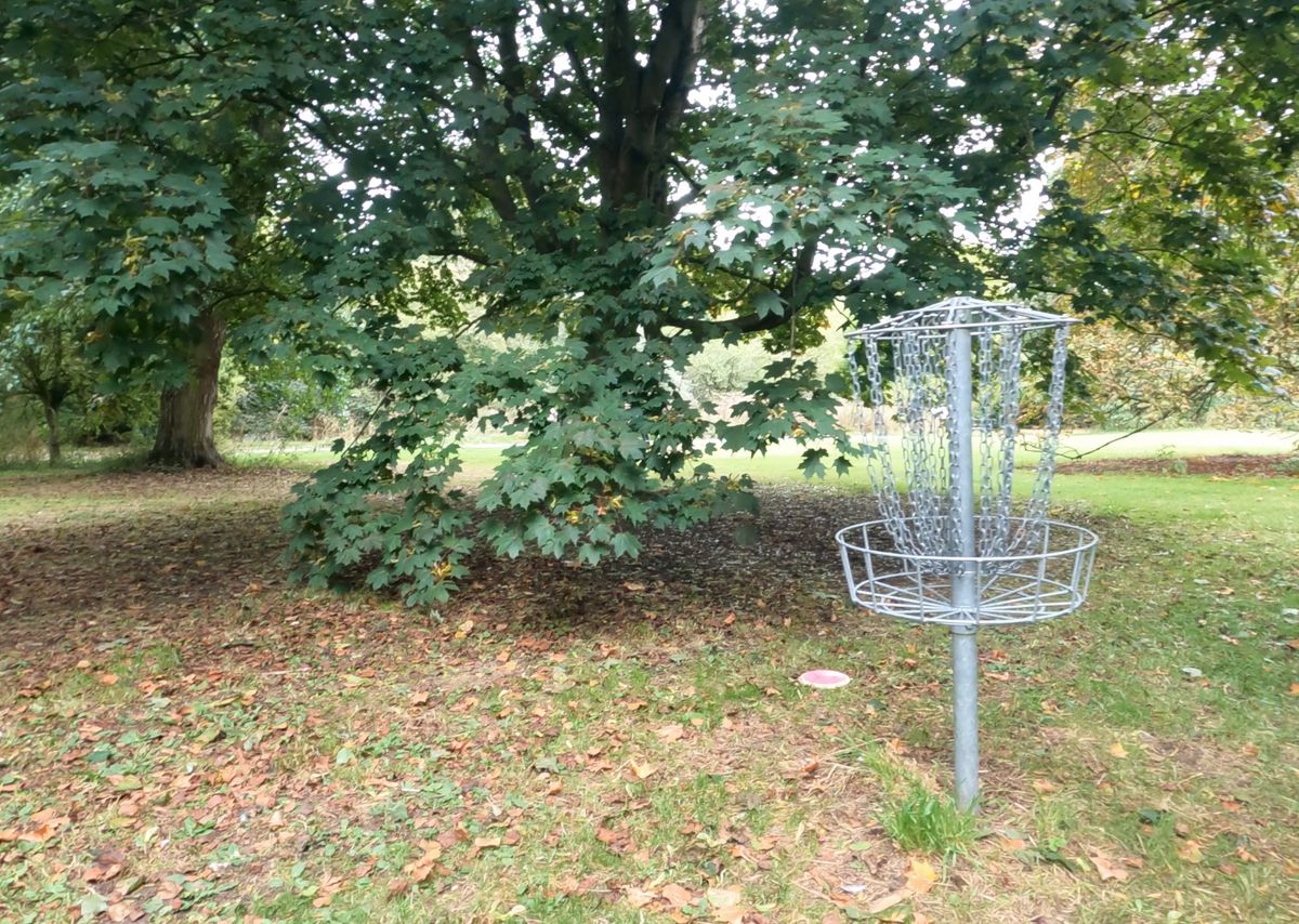 Basket 5