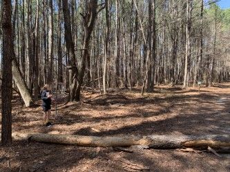 Hole 5 green and temp basket