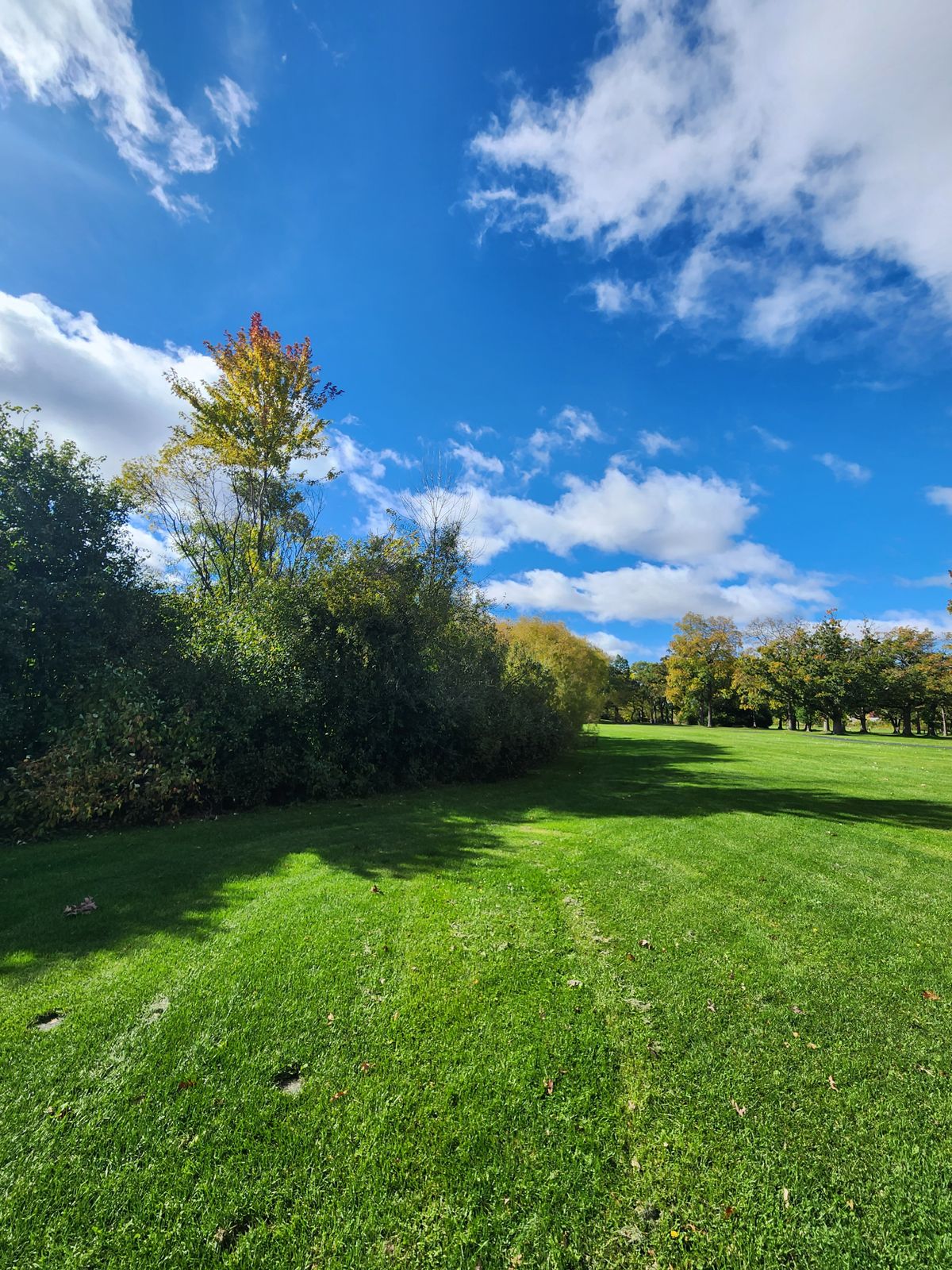 Hole 12 long tee