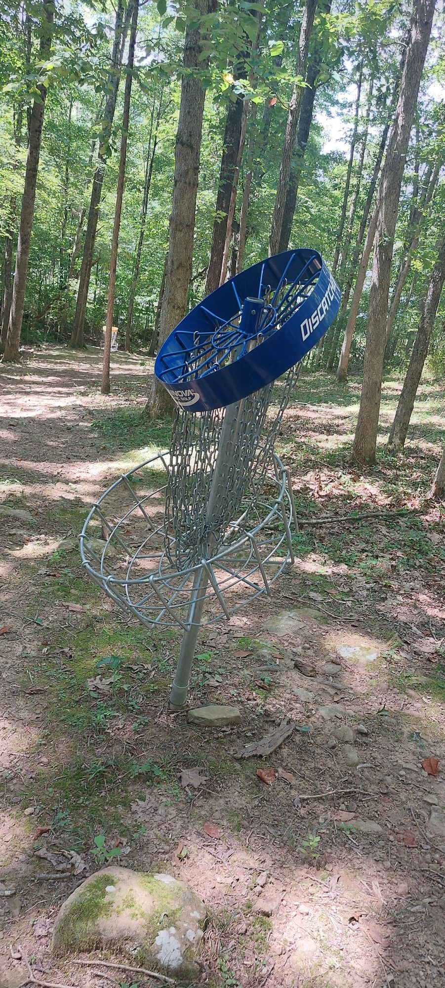 Hole 4 blue basket is unplayable and needs fixing