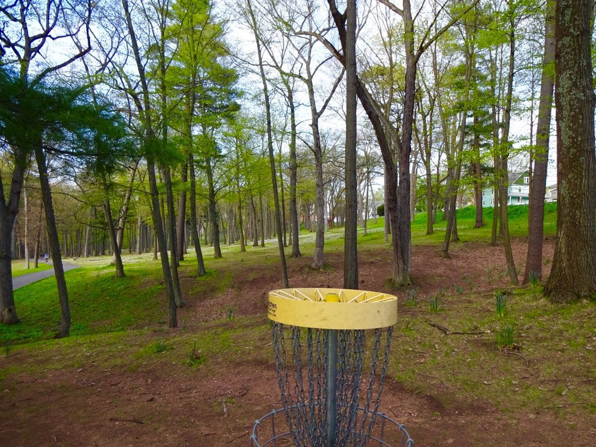 Hole 8A basket looking back at the tee