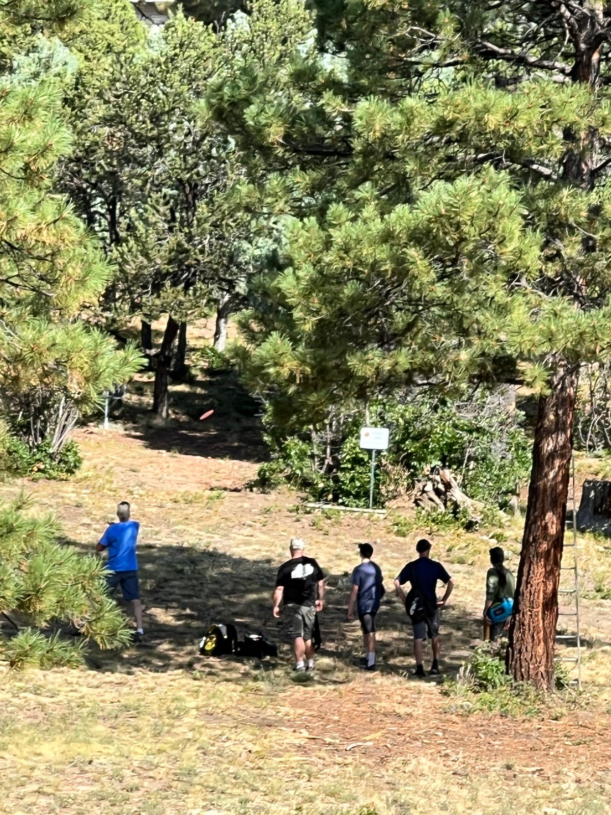 A group playing