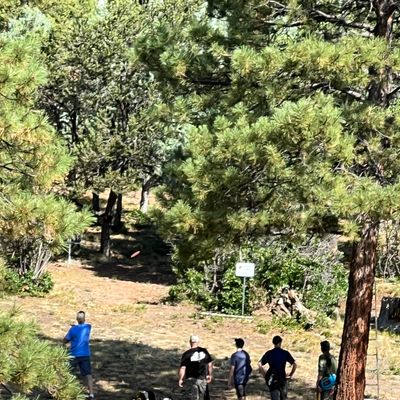 A group playing