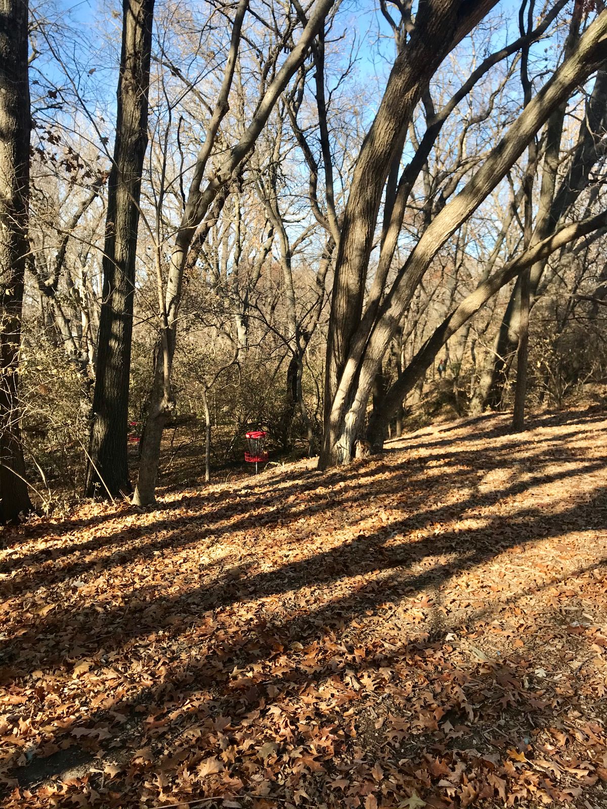 Hole 5 Approach