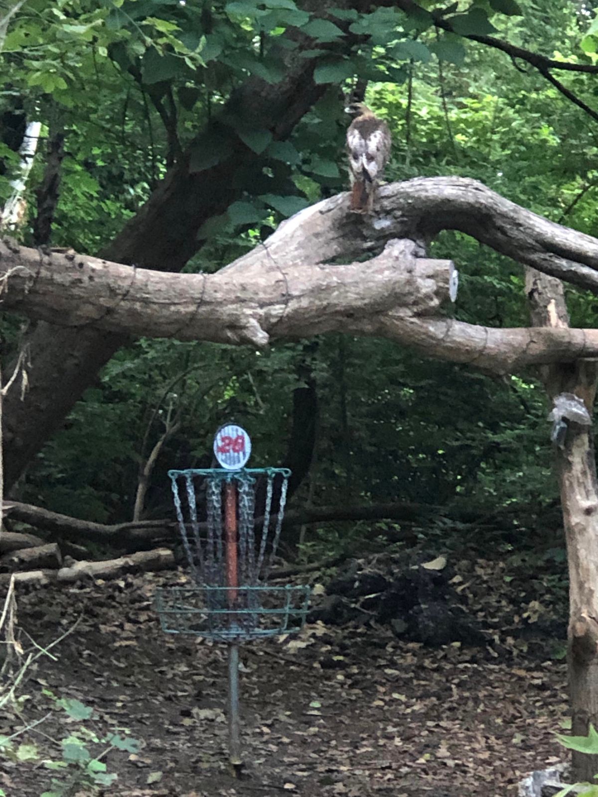 Hole 26