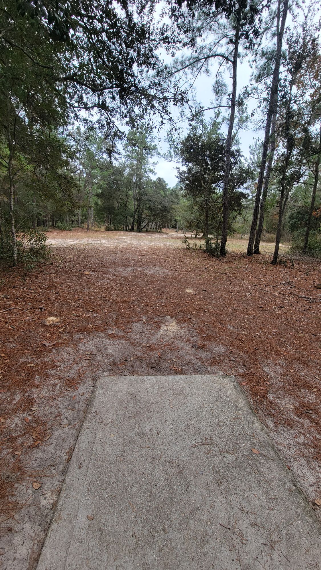 #7 Short Tee