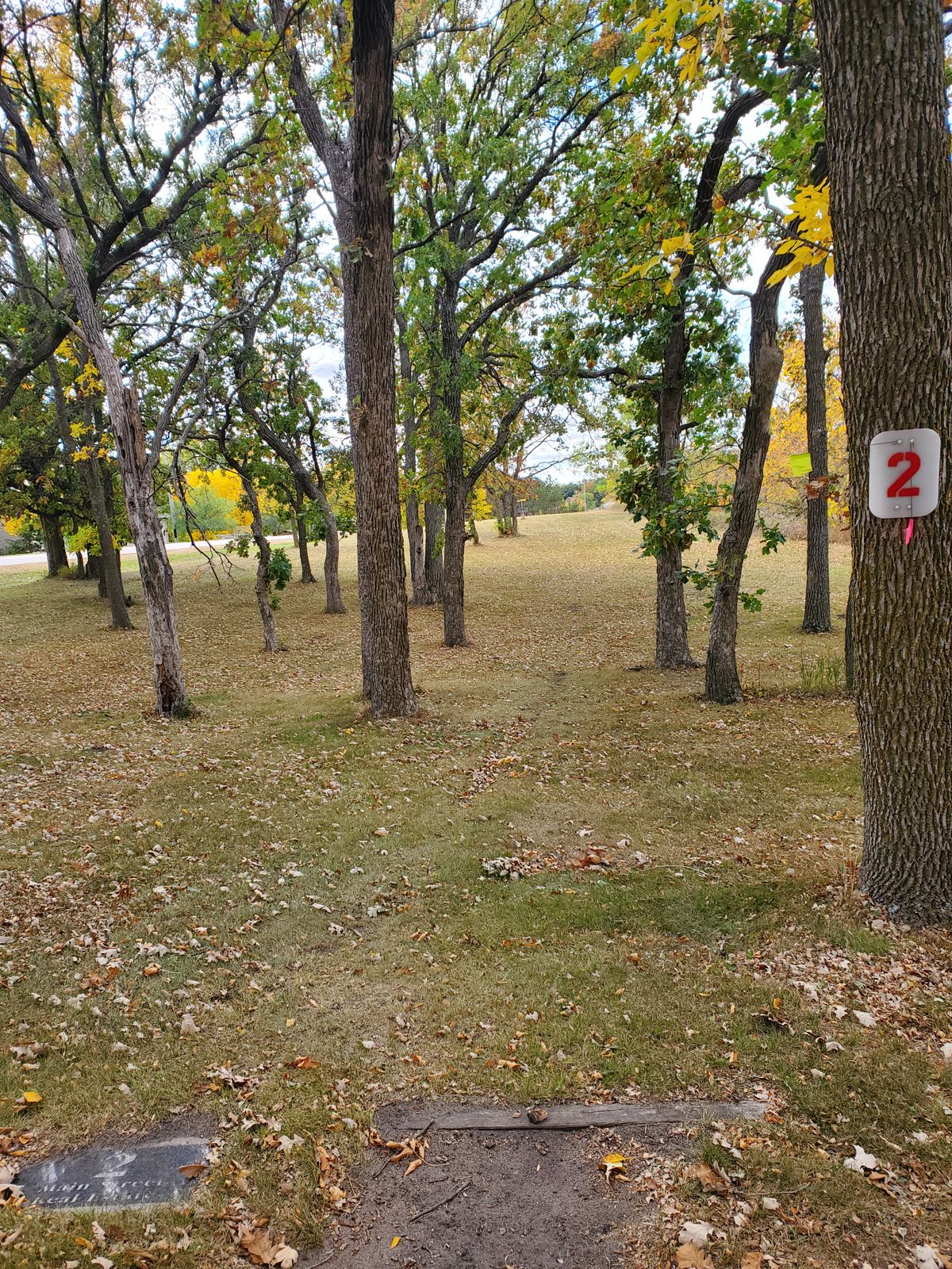 #2 Tee