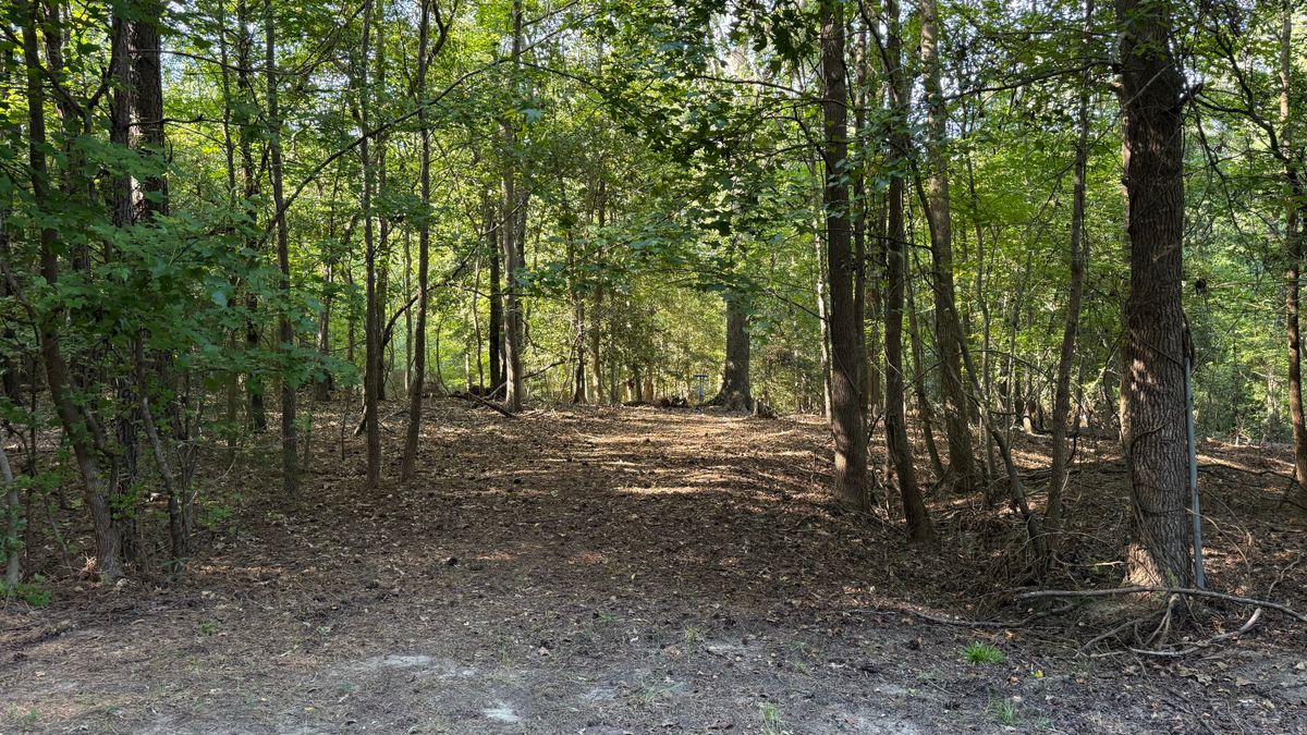 Hole 7: Basket