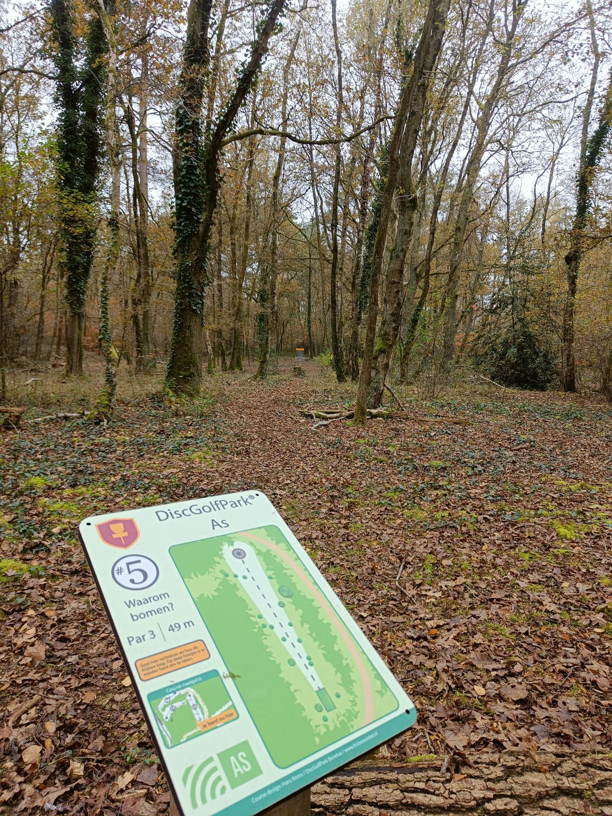 Hole 5