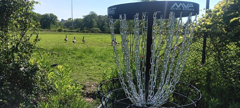 Basket for hole 9